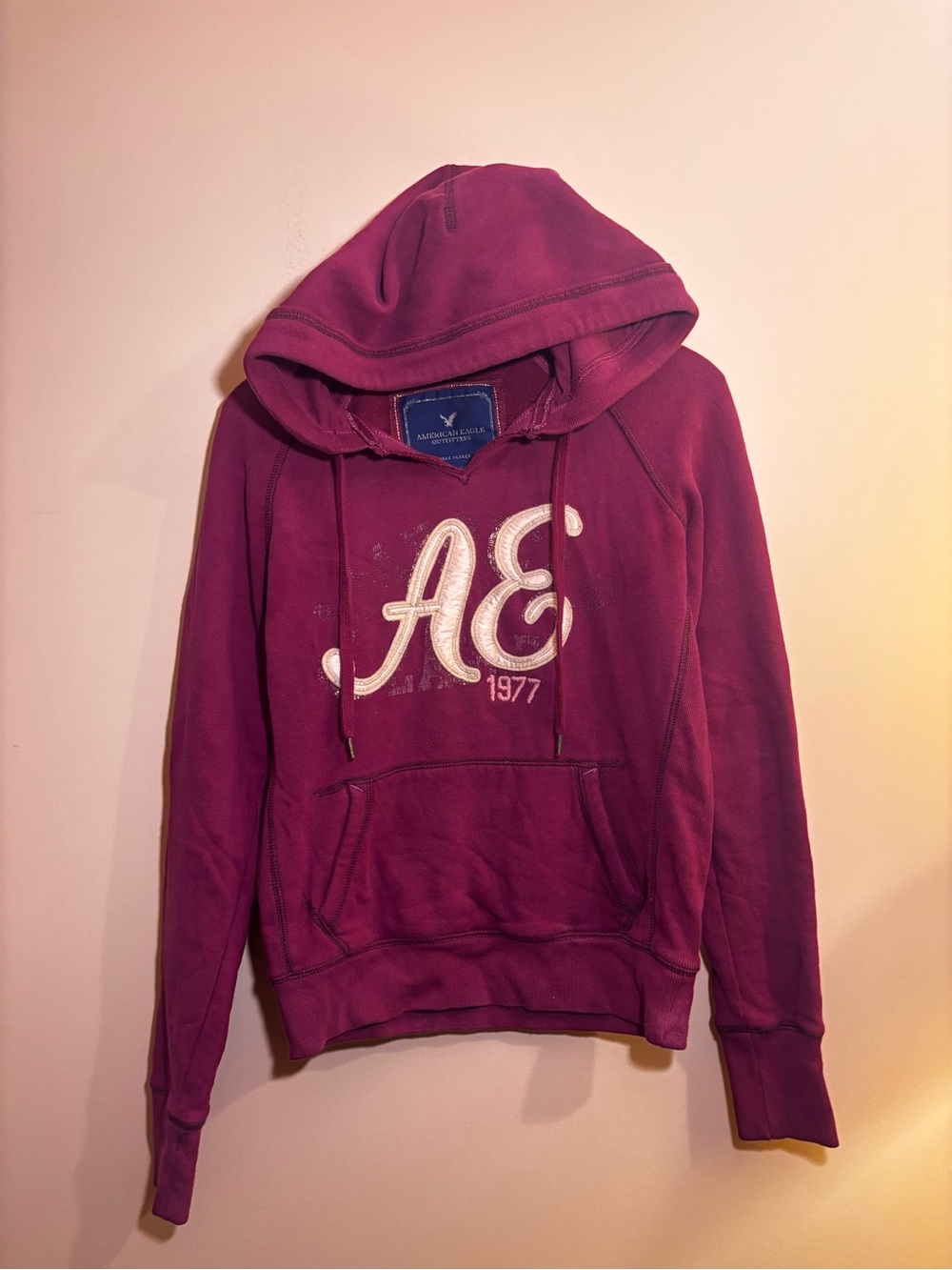 Vintage American Eagle Outfitters Magenta Logo Eagle Fleece Hoodie